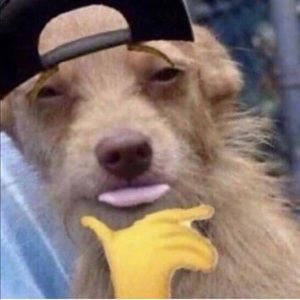 Meet your Posher, Caleb